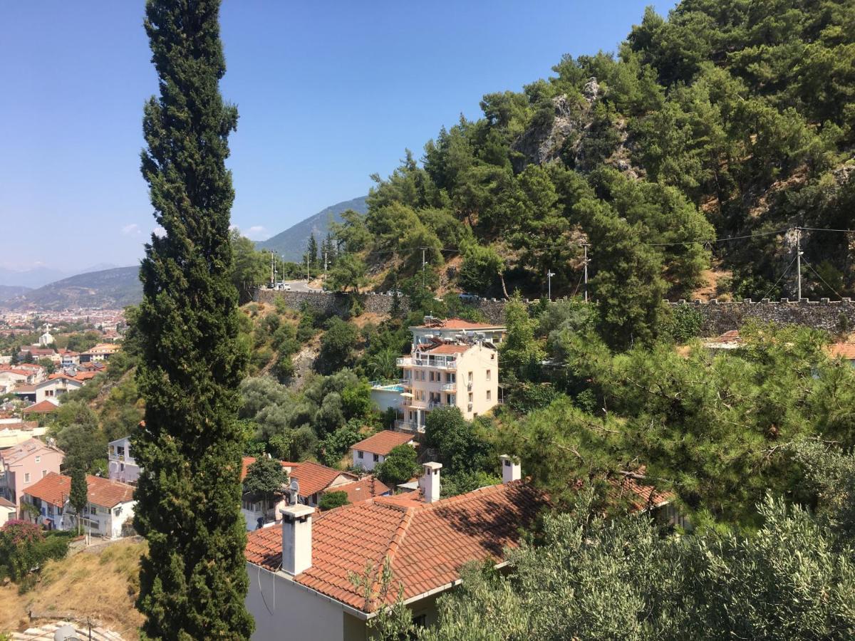 Dream View - Centre Daire